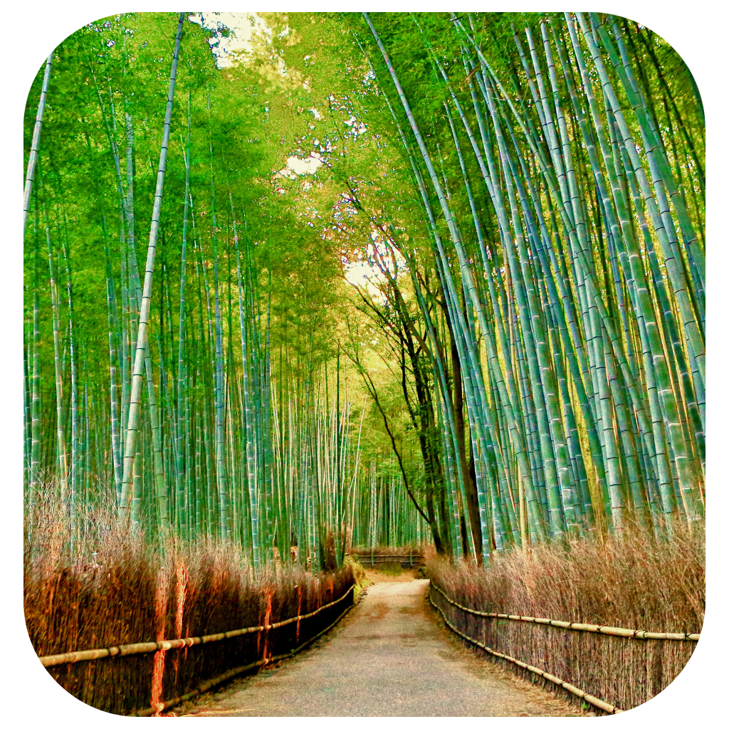 Your sense of connection to something larger than yourself, which may be expressed through faith, philosophy, nature, or inner reflection.